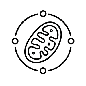 COQ10